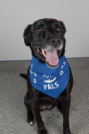 PALS_Joe_Gair_Sadie_0258.jpg