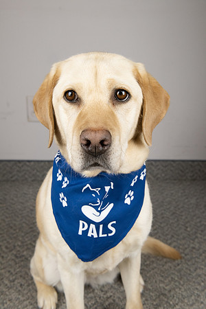 PALS_Cynthia_Hlynski_Amber_0290.jpg