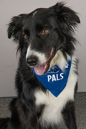 PALS_Ildiko_Miller_Jake_0322.jpg
