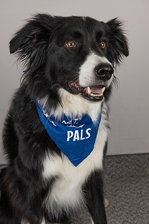PALS_Ildiko_Miller_Jake_0324.jpg