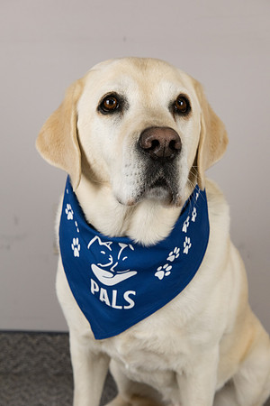 PALS_Heather_Golden_Webster_0328.jpg