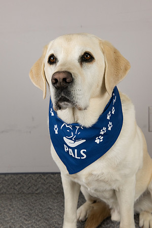 PALS_Heather_Golden_Webster_0339.jpg