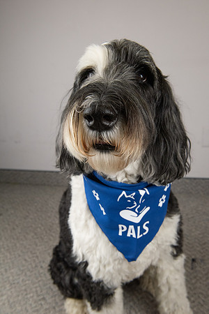 PALS_Carmen_Steele_Kali_0343.jpg