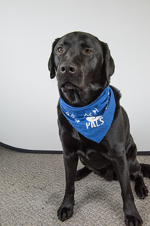 PALS_Miles_O-Keefe_Blue_0078.jpg