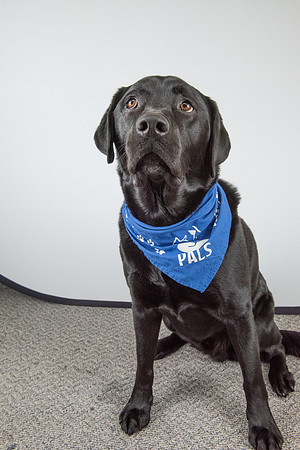 PALS_Miles_O-Keefe_Blue_0079.jpg