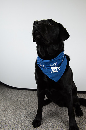 PALS_Miles_O-Keefe_Blue_0080.jpg