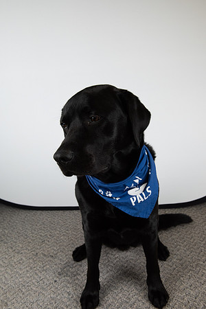 PALS_Miles_O-Keefe_Blue_0081.jpg