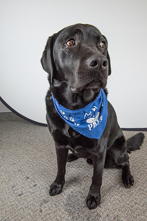 PALS_Miles_O-Keefe_Blue_0082.jpg