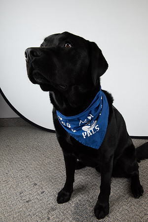 PALS_Miles_O-Keefe_Blue_0083.jpg