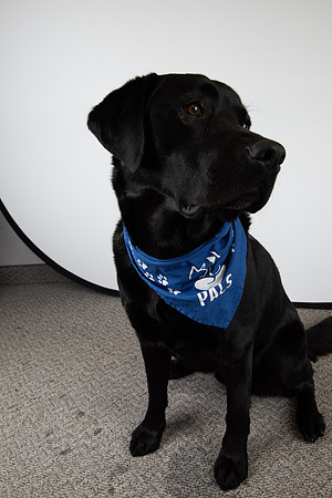 PALS_Miles_O-Keefe_Blue_0084.jpg