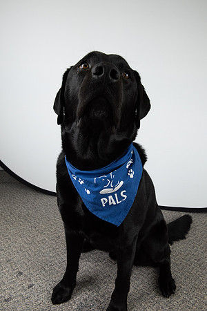 PALS_Miles_O-Keefe_Blue_0085.jpg