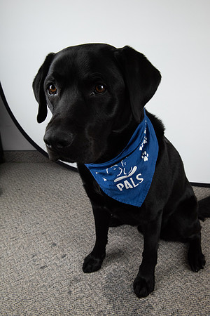 PALS_Miles_O-Keefe_Blue_0086.jpg