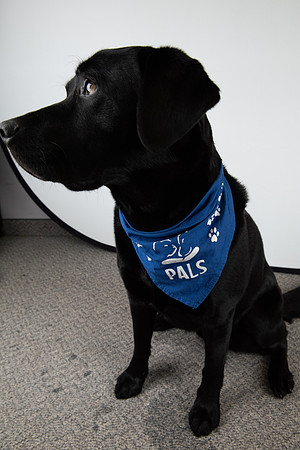 PALS_Miles_O-Keefe_Blue_0087.jpg