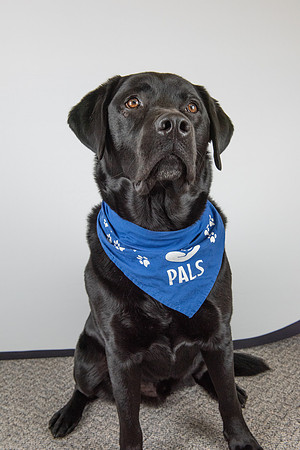 PALS_Miles_O-Keefe_Blue_0088.jpg