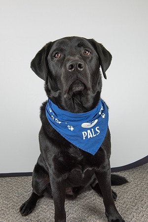 PALS_Miles_O-Keefe_Blue_0089.jpg
