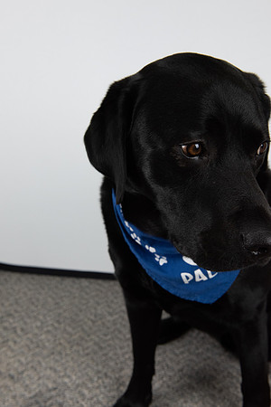PALS_Miles_O-Keefe_Blue_0090.jpg