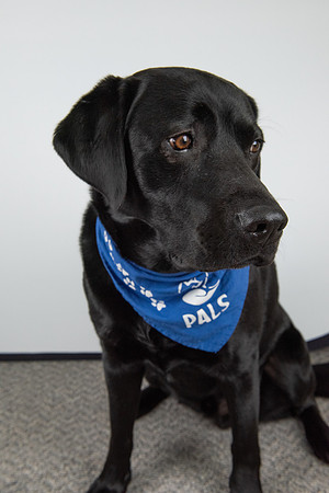 PALS_Miles_O-Keefe_Blue_0091.jpg