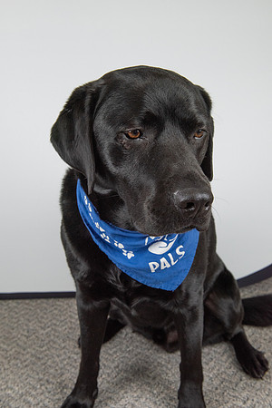 PALS_Miles_O-Keefe_Blue_0092.jpg