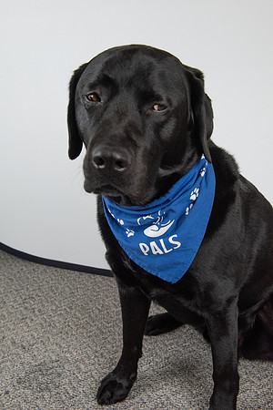PALS_Miles_O-Keefe_Blue_0093.jpg