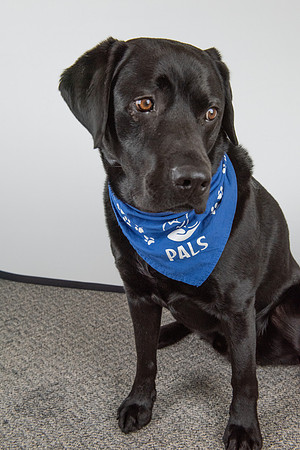 PALS_Miles_O-Keefe_Blue_0094.jpg