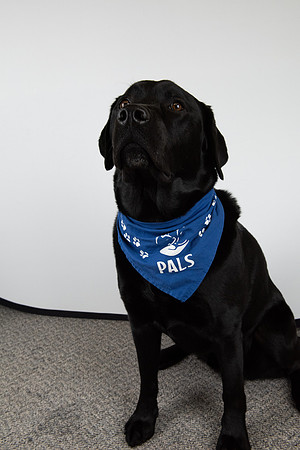 PALS_Miles_O-Keefe_Blue_0095.jpg