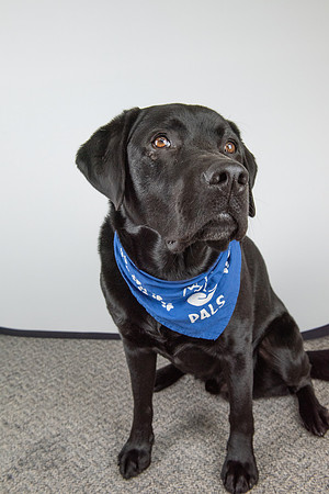 PALS_Miles_O-Keefe_Blue_0096.jpg