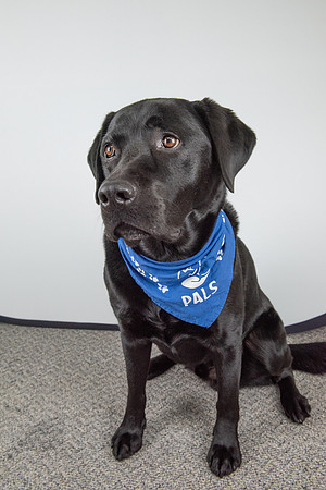 PALS_Miles_O-Keefe_Blue_0097.jpg