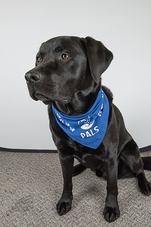 PALS_Miles_O-Keefe_Blue_0098.jpg