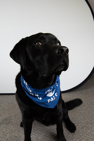 PALS_Miles_O-Keefe_Blue_0099.jpg