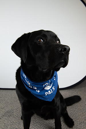 PALS_Miles_O-Keefe_Blue_0100.jpg