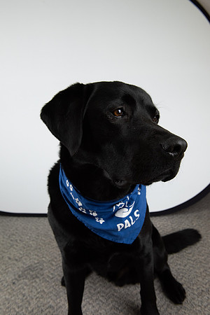 PALS_Miles_O-Keefe_Blue_0101.jpg