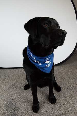 PALS_Miles_O-Keefe_Blue_0102.jpg