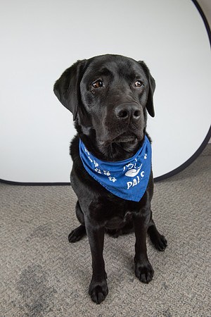 PALS_Miles_O-Keefe_Blue_0103.jpg