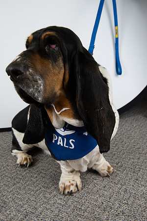 PALS_Rob_Martin_Daisy_0117.jpg
