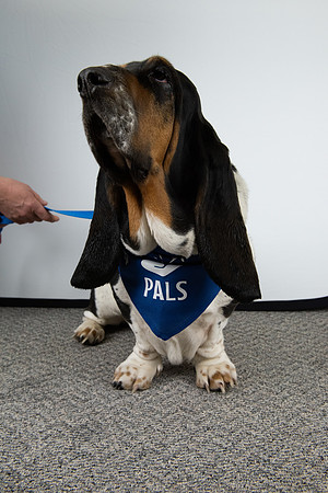 PALS_Rob_Martin_Daisy_0122.jpg