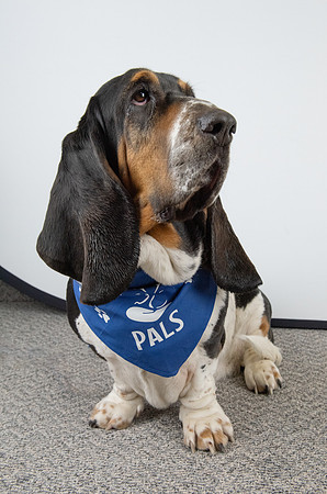 PALS_Rob_Martin_Daisy_0126.jpg
