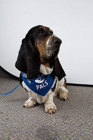 PALS_Rob_Martin_Daisy_0128.jpg