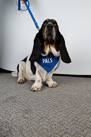PALS_Rob_Martin_Daisy_0130.jpg