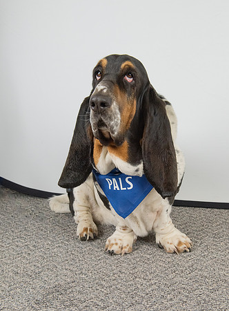 PALS_Rob_Martin_Daisy_0132.jpg