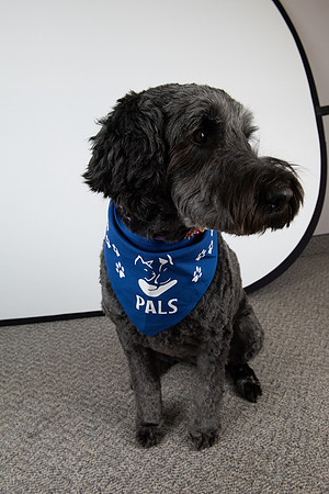 PALS_Lisa_O-Sullivan_Soda_0161.jpg