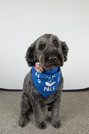 PALS_Lisa_O-Sullivan_Soda_0166.jpg