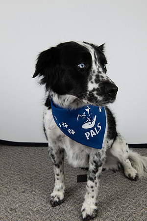 PALS_TL_Bell_Ace_0177.jpg