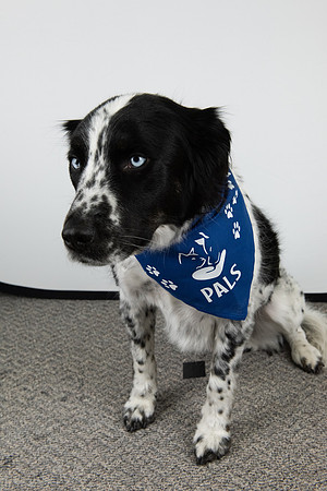 PALS_TL_Bell_Ace_0178.jpg